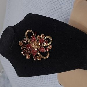 Extraordinary and elegant broach